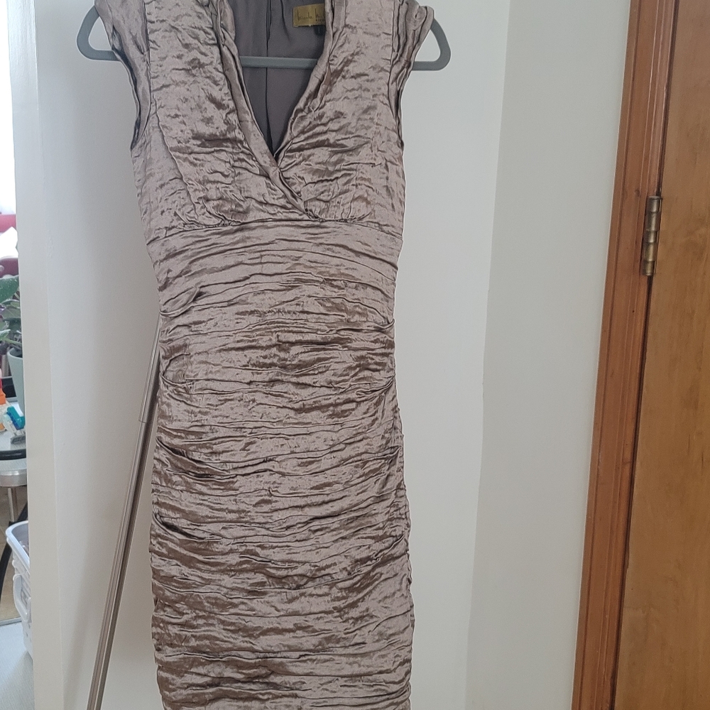 NICOLE MILLER Champagne Crinkle Dress.  Sz 4P - Picture 5 of 6